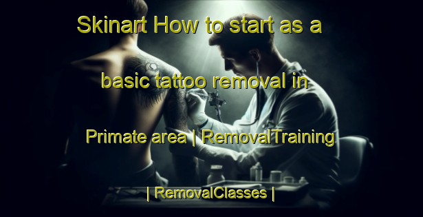 Skinart How to start as a basic tattoo removal in Primate area | RemovalTraining | RemovalClasses | SkinartTraining-Canada